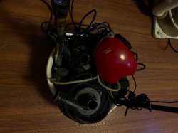 image.jpg