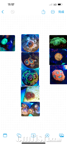C7DECC98-B116-4015-BCDA-F5A5ECCEF8C2.png