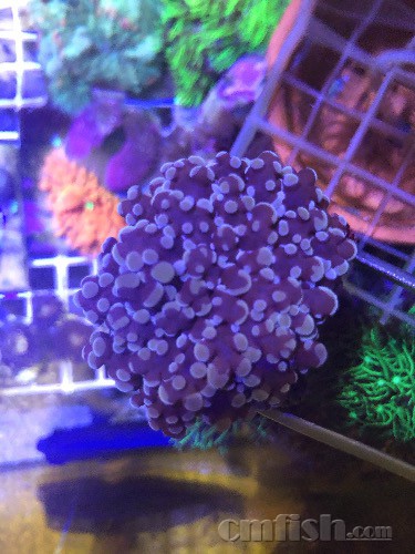 44DF6EFA-577E-4A97-AC9A-6D7611342C9B.jpeg