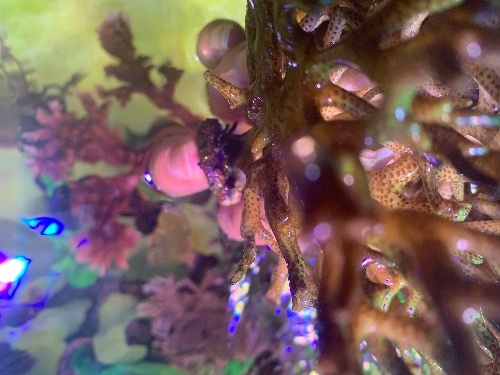 6499FD43-66DA-4602-9A8D-AD594E68A4A9.jpeg