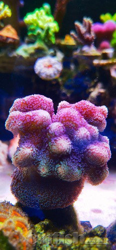 1D7317F0-51D3-4783-A650-820C53BC9D70.jpeg