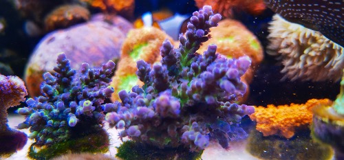 02651979-BCE9-4C17-BE3B-A2A458AD2B1C.jpeg