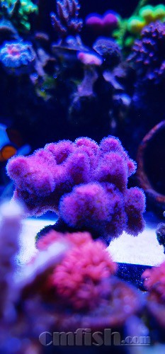 9262164F-56E4-4A6E-B210-F1235C8B01D9.jpeg