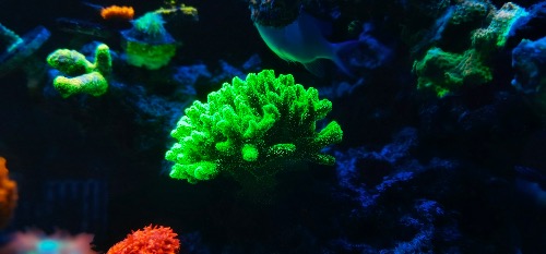 9F0808DB-2327-4834-99CC-039C99393A41.jpeg