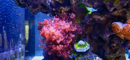 CC5144F8-7764-45E0-8948-7E0278297C96.jpeg