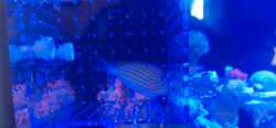 IMG_20230204_095458.jpg