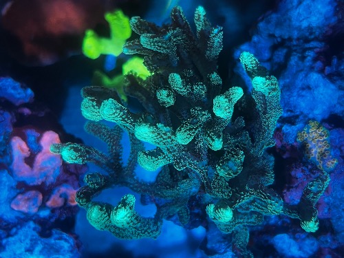 3A5765E3-2F82-47F7-AFEA-FFC5863B4451.jpeg