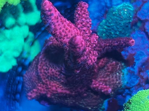 69A27B0C-5AD5-4E15-BA45-5E34DA58D6A1.jpeg