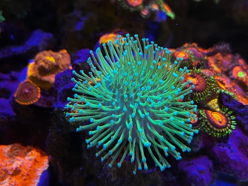 03F0186B-5B07-4059-B571-71B3723762C7.jpeg