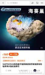 Screenshot_20230207_200518_com.taobao.taobao_edit_50577842839156.jpg