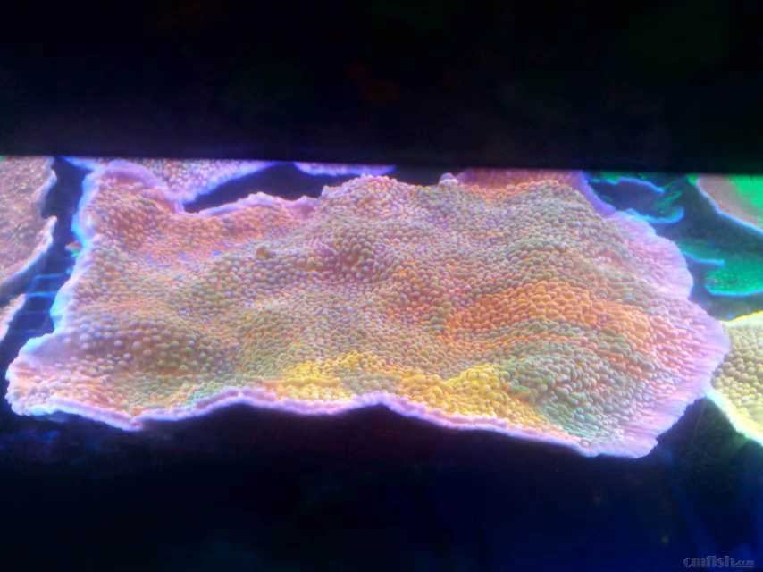 ΢��ͼƬ_202302102110087.jpg