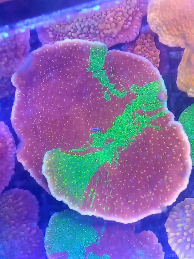 ΢��ͼƬ_202302102110086.jpg