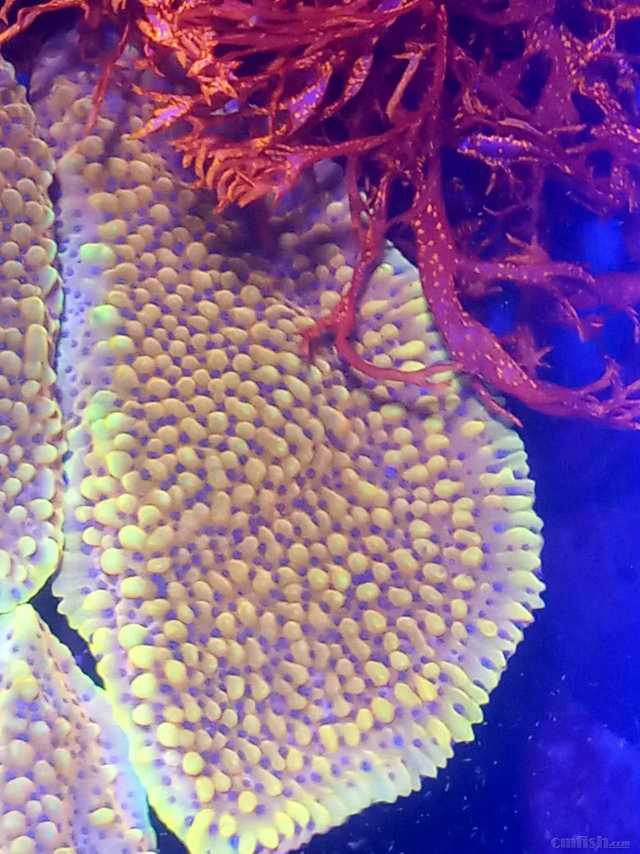 ΢��ͼƬ_202302102110085.jpg