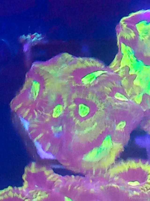 ΢��ͼƬ_20230211180845.jpg