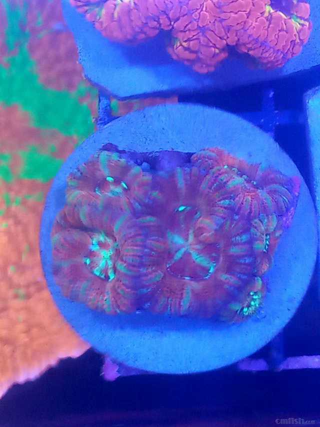 ΢��ͼƬ_202302111808453.jpg