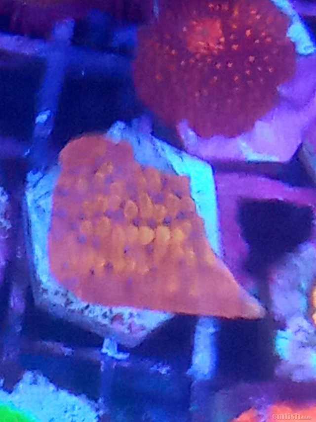 ΢��ͼƬ_202302111808455.jpg