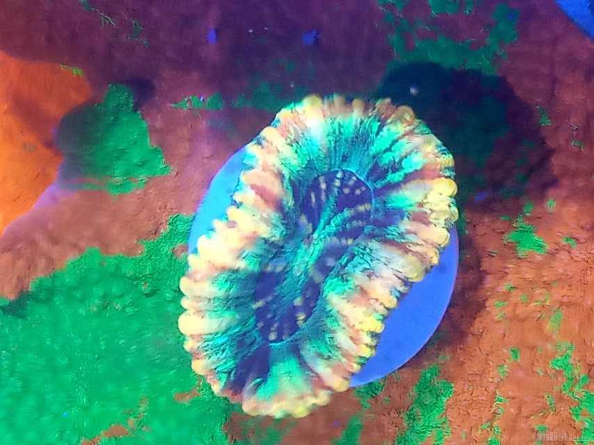 ΢��ͼƬ_202302111808458.jpg