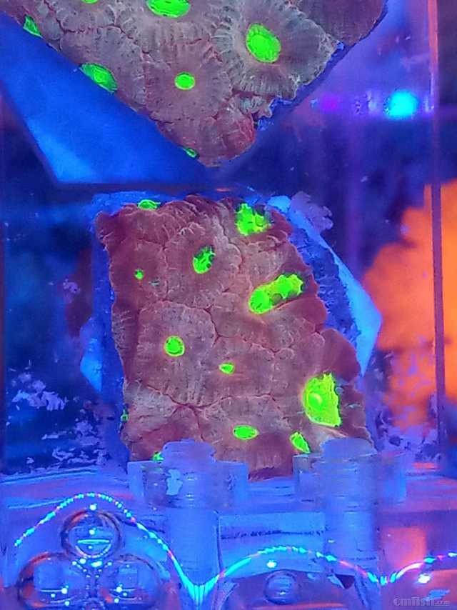 ΢��ͼƬ_202302111808457.jpg