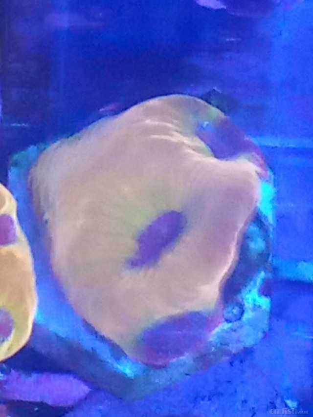 ΢��ͼƬ_202302111808456.jpg