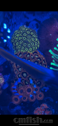 D2219FA1-6EBD-4546-9CDC-BA8E8C625468.png