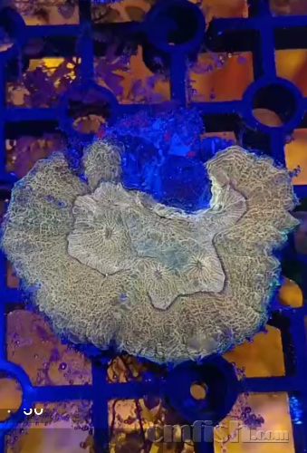 5449D0A2-23BD-402D-B492-64C75BC3C403.png
