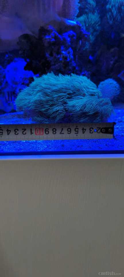 ΢��ͼƬ_202302170952312.jpg