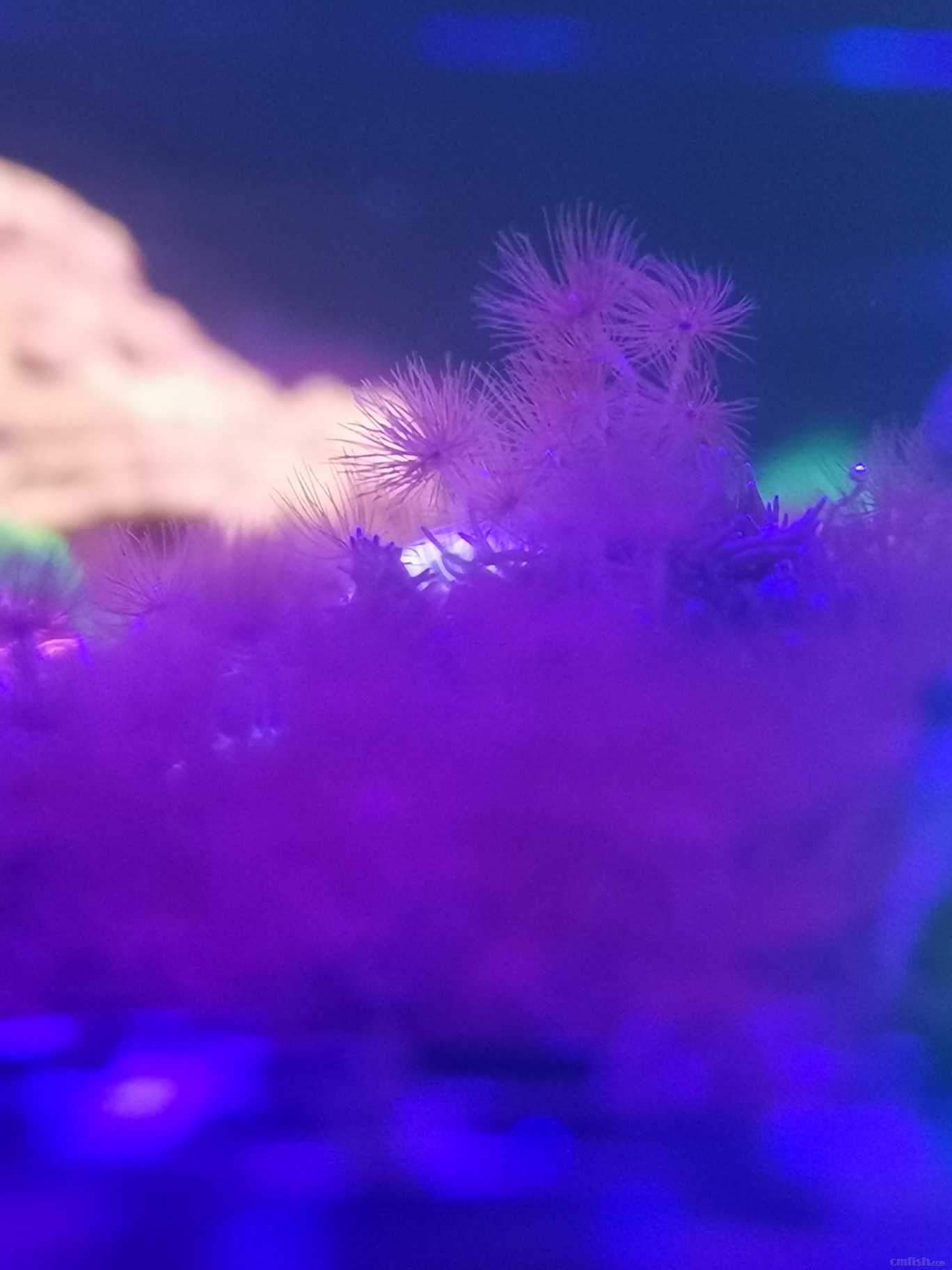 ΢��ͼƬ_20230218195020.jpg