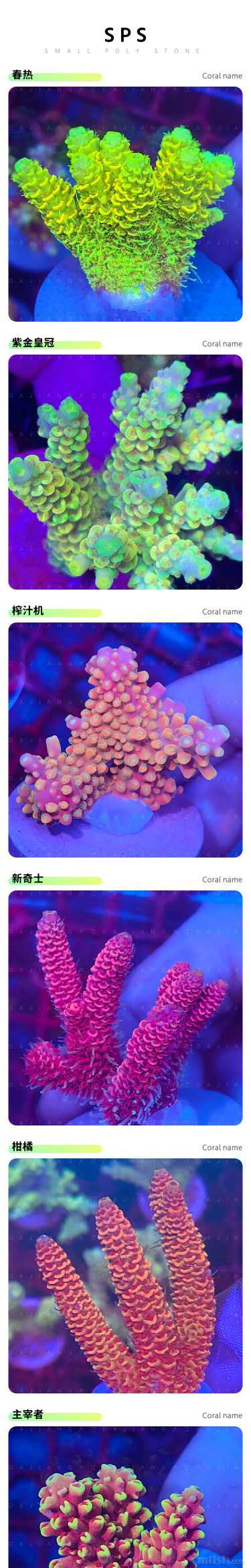 S P SƷ��_01.jpg