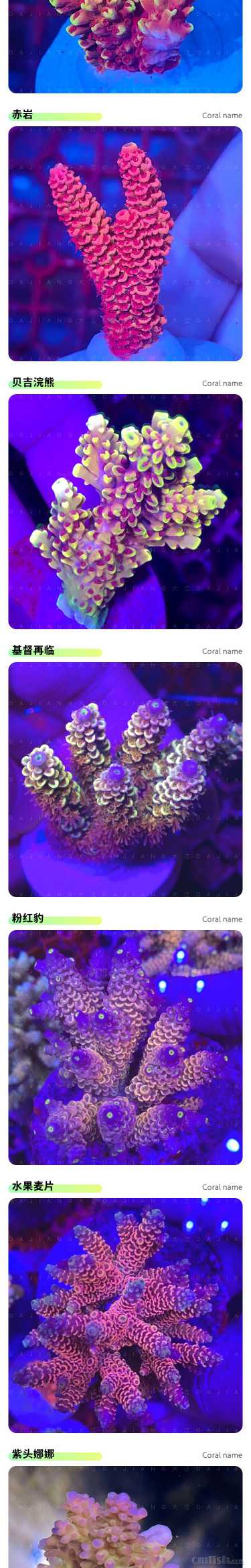 S P SƷ��_02.jpg