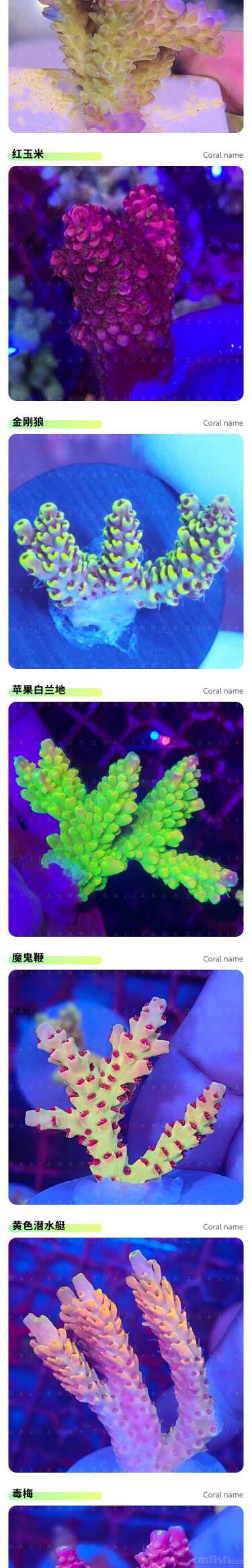 S P SƷ��_03.jpg