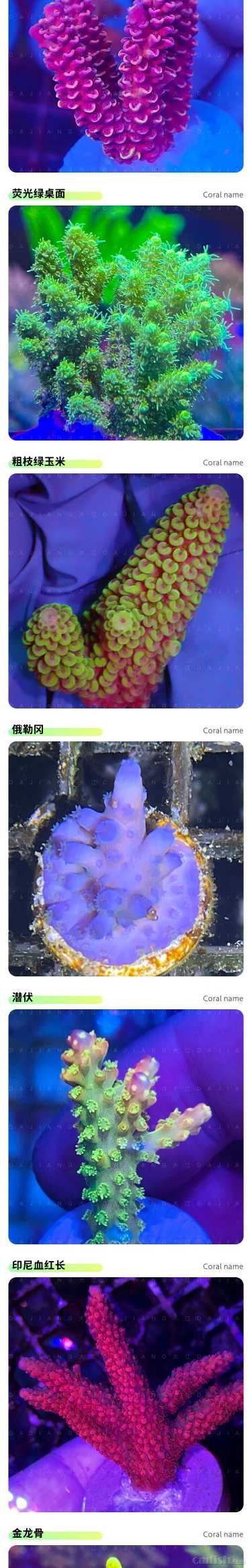 S P SƷ��_04.jpg