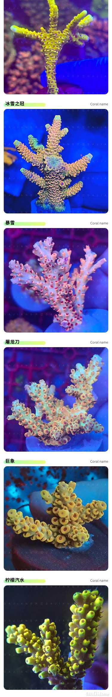 S P SƷ��_05.jpg