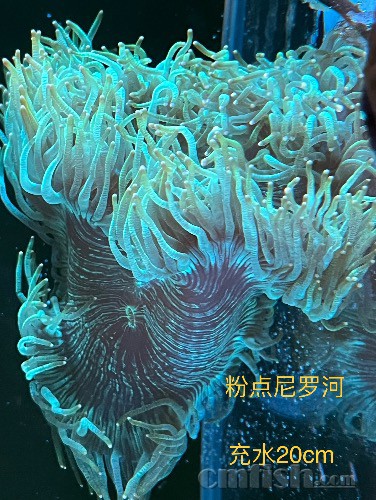 AB72208A-3762-4DB3-8E54-D81BB24E6D59.jpeg