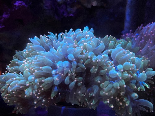 0E11708F-07BD-4B84-8FA1-56765E6EE2FF.jpeg
