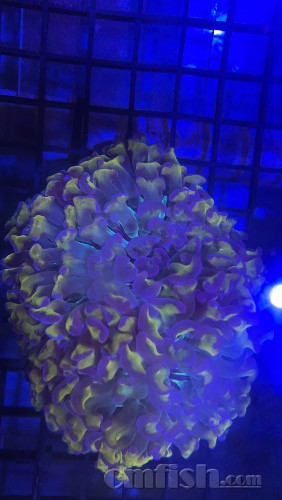 EFDBF701-A067-4C69-AD34-36DD269C478B.jpeg