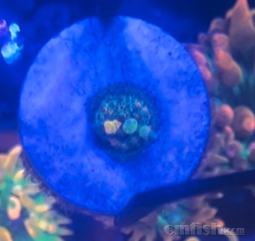 D048FE3B-E8E7-4C20-A595-5614224F98A8.jpeg
