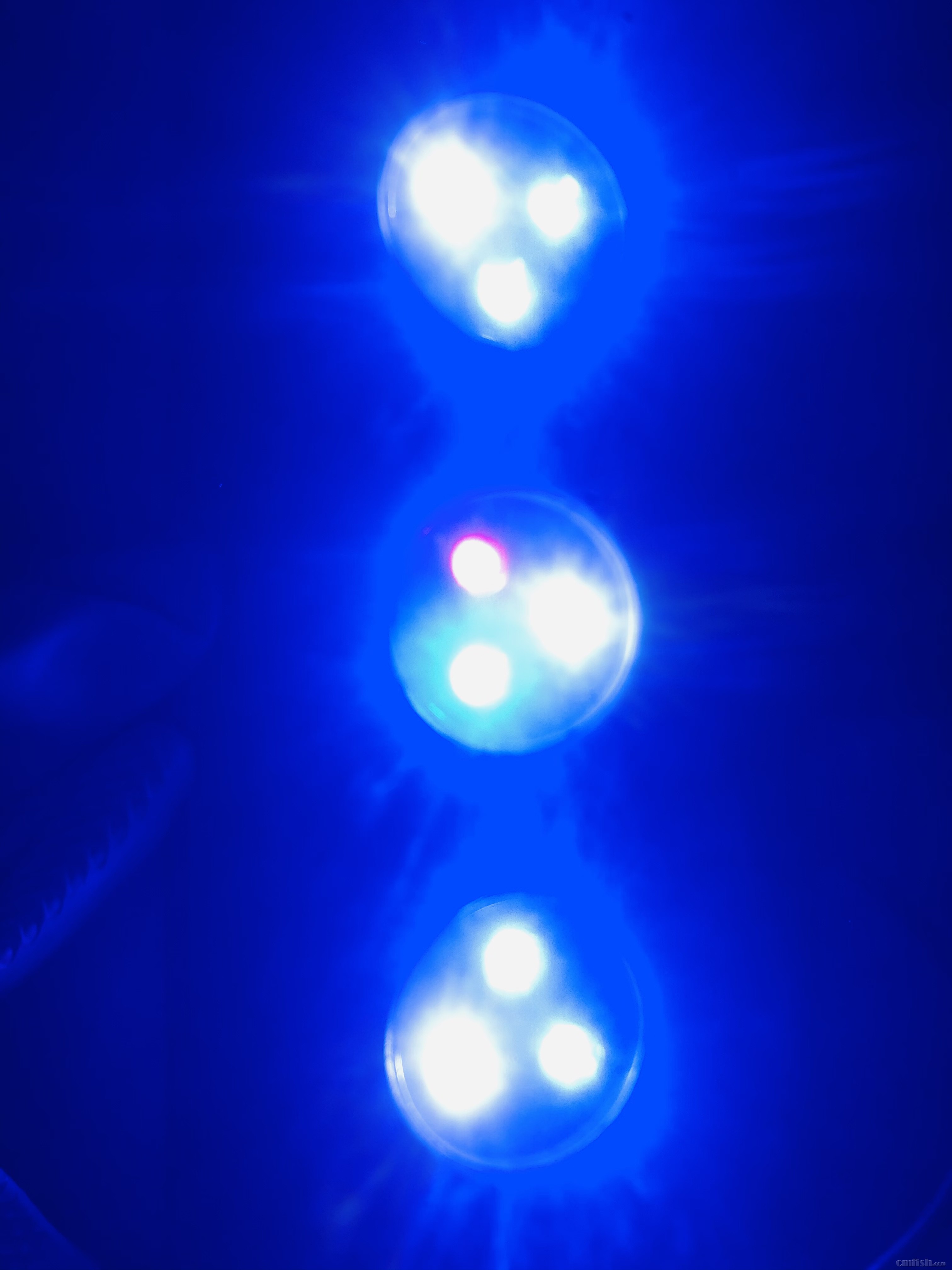 EDC42B6A-490B-4B71-BFC8-BA51B7540E95.jpeg