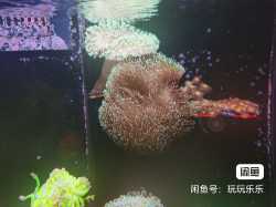 image_editor_1674627321823.jpg