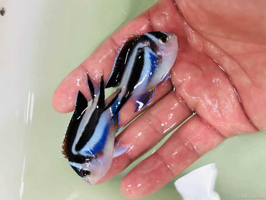 �������� ĸ.jpg