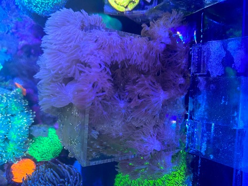 43D3943B-6043-4561-9E3C-5E9473DF8550.jpeg
