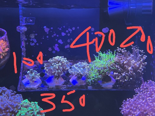 45E02DF1-9E5E-4658-B0E6-23E842D1E637.jpeg