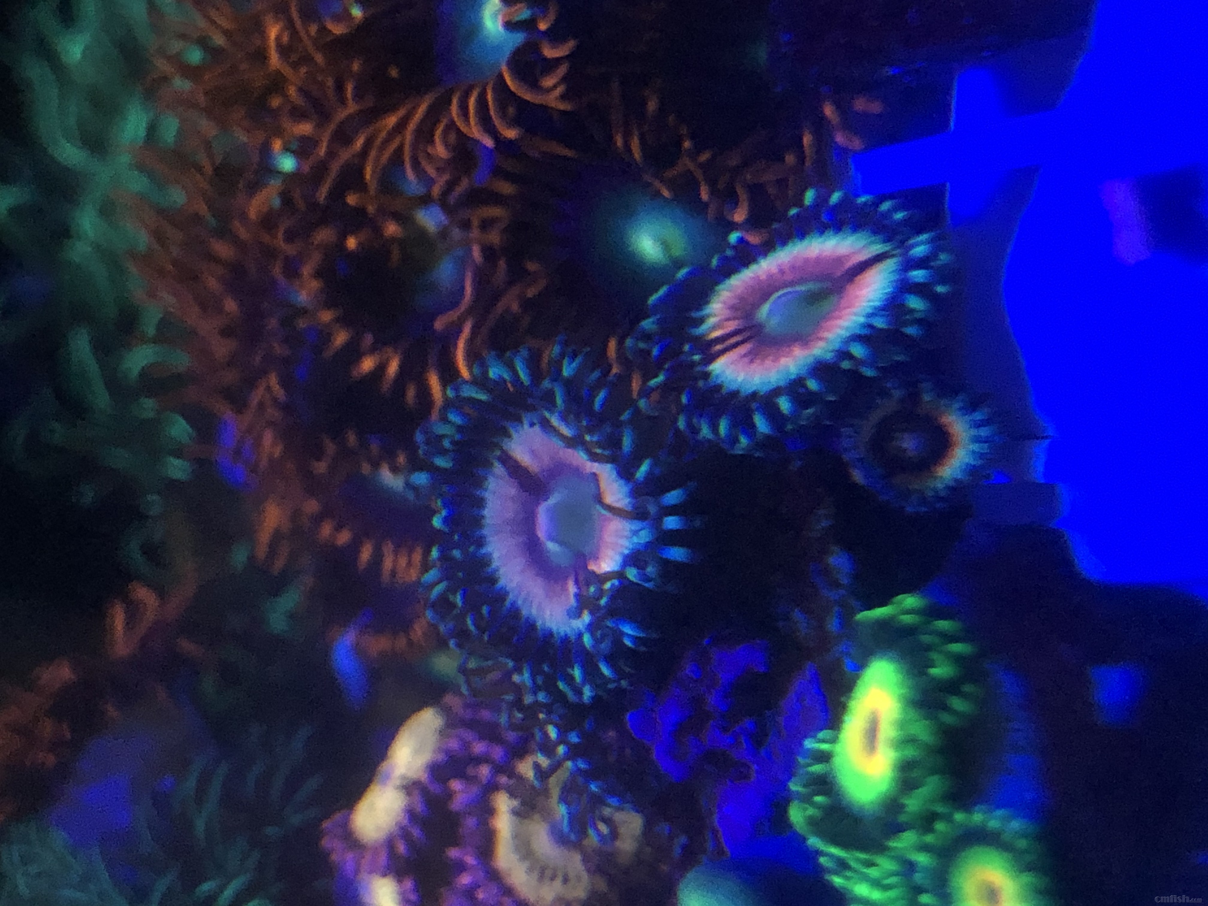 6C218D0A-A1D0-4D72-B7AE-ED8D3ACB6F6A.jpeg