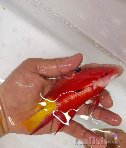 C234573E-FDE2-4325-91CE-9C366C01F397.jpeg