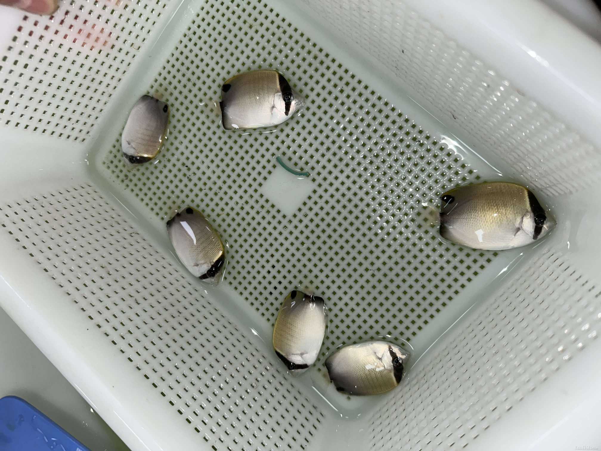 ����ɺ ����.jpg