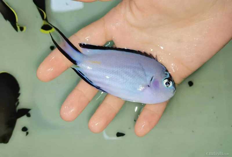 �������� ��.jpg