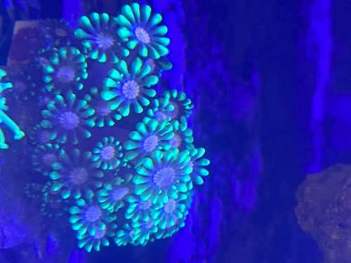 824B3AAF-0820-46CD-AB7F-A60209559DDD.jpeg