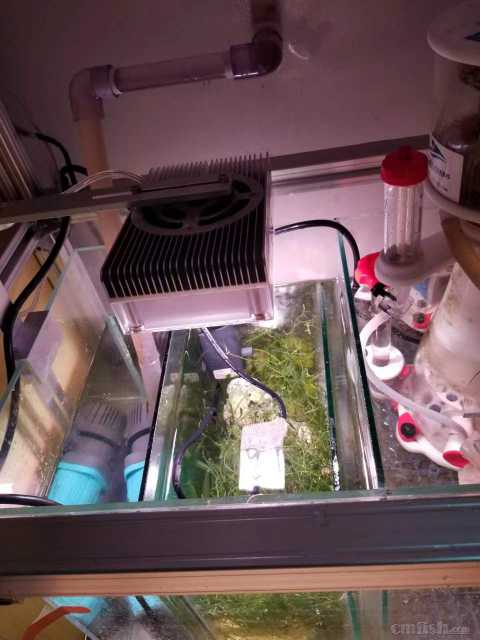 һ�ο��ף��������ճ���ҵ�Լ���װ4�鲣���ֳ�������ά����2�꣩