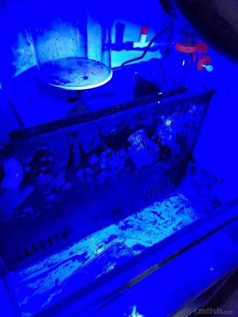 ���ο��ף��׸׷�Ь���ˣ������ı����������ޣ��м�ˮ���޵��֣�ά����2�꣩