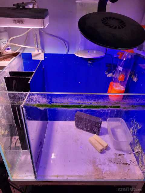 ���ο��ף���ԭ�����Լ�����˲���Ŀ���ǽ����ü�����ף���׺��������������ٺ�����ˮ�ú͵���