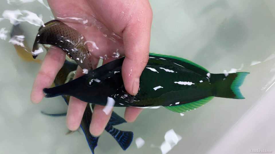 Ѽ���� ��.jpg